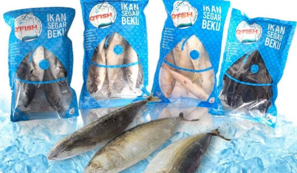 Cuaca tak menentu, nelayan disaran guna kaedah Q'Fish