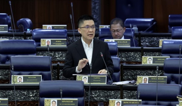 Timbalan Menteri Pendidikan, Wong Kah Woh