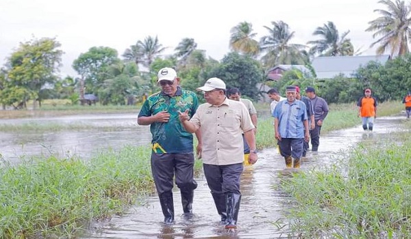 2,300 hektar sawah padi di Wilayah Tiga, Pendang masih ditenggelami air