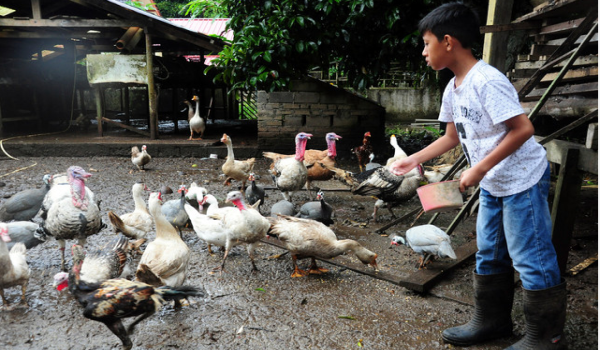 1512 BZ DOSM IMPORT MAKANAN 2