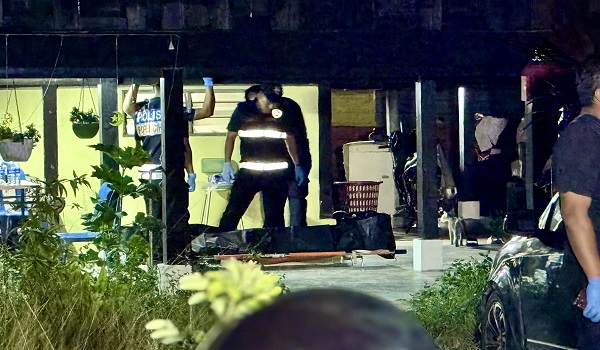 Kes bunuh dua beranak: Polis tahan dua lagi lelaki