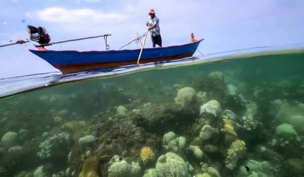 Spesies marin terancam, suhu laut di Thailand cecah paras tinggi
