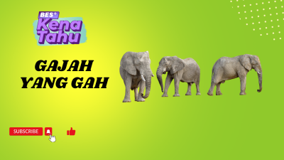 BES+KENA TAHU - Gajah yang gah