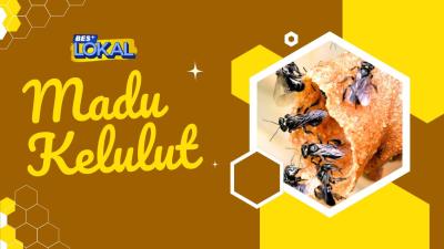 BES+LOKAL : MADU KELULUT