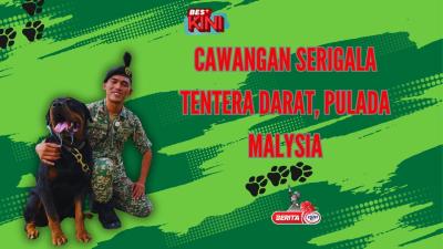 BES+KINI - Cawangan Serigala Tentera Darat, PULADA Malaysia