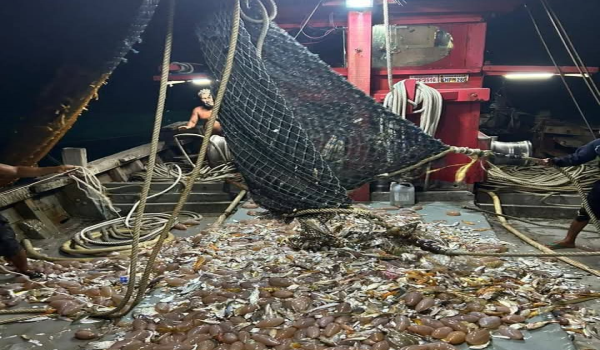 1207 KDH BOT PUKAT TUNDA CEROBOH 2