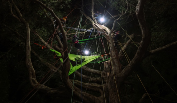 3108 KTN MERDEKA ATAS POKOK 2