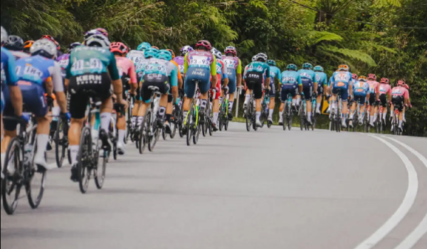 LTDL 2024