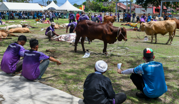 0306_IBADAH_KORBAN