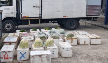 PGA Tenggara rampas sayur seludup dan lori bernilai RM180,000 turut disita/Foto PGA Tenggara