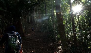 YAN, 15 Feb -- Tinjauan cuaca panas sekitar trek pendakian di Gunung Jerai.

Jabatan Meteorologi Malaysia (METMalaysia) mengeluarkan amaran cuaca panas tahap satu atau berjaga-jaga di tiga kawasan di Kedah iaitu Pokok Sena, Pendang dan Baling.

Menurut kenyataan itu, status cuaca panas tahap satu atau berjaga-jaga dikeluarkan bagi suhu maksimum harian 35 hingga 37 darjah Celsius dan dijangka berlaku sekurang-kurangnya untuk tiga hari.

--fotoBERNAMA (2024) HAK CIPTA TERPELIHARA