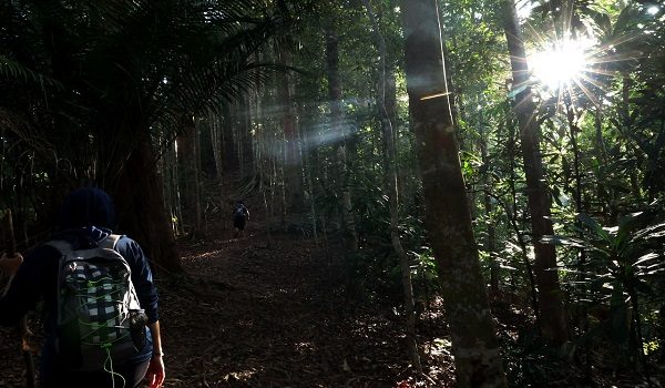 YAN, 15 Feb -- Tinjauan cuaca panas sekitar trek pendakian di Gunung Jerai.

Jabatan Meteorologi Malaysia (METMalaysia) mengeluarkan amaran cuaca panas tahap satu atau berjaga-jaga di tiga kawasan di Kedah iaitu Pokok Sena, Pendang dan Baling.

Menurut kenyataan itu, status cuaca panas tahap satu atau berjaga-jaga dikeluarkan bagi suhu maksimum harian 35 hingga 37 darjah Celsius dan dijangka berlaku sekurang-kurangnya untuk tiga hari.

--fotoBERNAMA (2024) HAK CIPTA TERPELIHARA