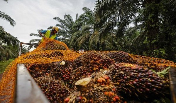 Foto BERNAMA