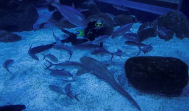 Ritinha, a shark at the Rio de Janeiro Aquarium, predicts victory of Brazil during the World Cup opening match against Morocco at Rio de Janeiro Aquarium, Brazil, June 3, 2026. REUTERS/Ricardo Moraes