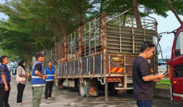 0410 PRK JPV SELUDUP LEMBU