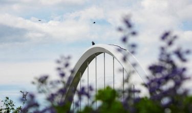 A bird flies by as Protester Guido Reichstadter gestures atop the Frederick Douglass Memorial Bridge for the second day in Washington, D.C., U.S., May 2, 2026. REUTERS/Ken Cedeno