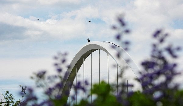 A bird flies by as Protester Guido Reichstadter gestures atop the Frederick Douglass Memorial Bridge for the second day in Washington, D.C., U.S., May 2, 2026. REUTERS/Ken Cedeno