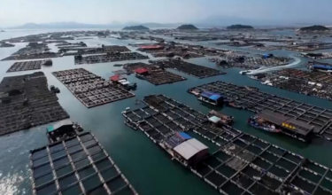 Fujian bersiap sedia hadapi taufan Danas - Foto Reuters