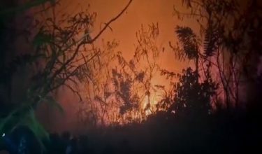 0508 LNR FOREST FIREE