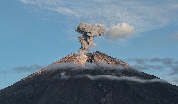 Gunung Semeru meletus tujuh kali har ini. /Foto AFP