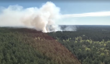 0605 LNR POLAND HUTAN BAKAR