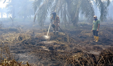 0802 JHR LETUPAN KEBARAN MUAR