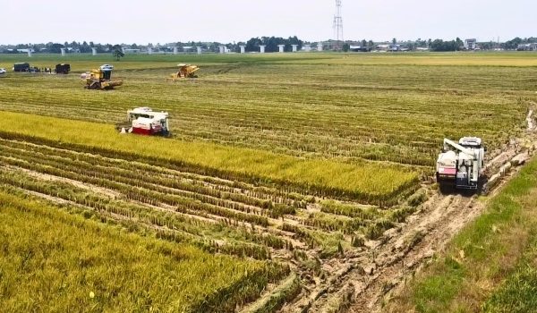 Gambar Facebook Worldstar Agriculture machinery