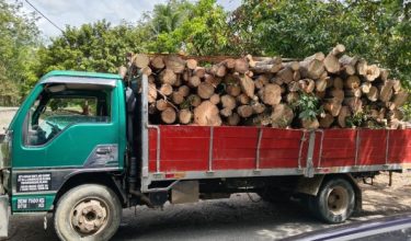 0906 RAMPAS KAYU
