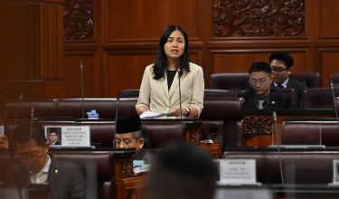 Timbalan Menteri Komunikasi, Teo Nie Ching