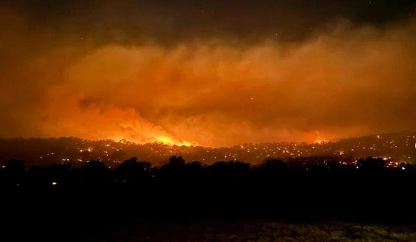 1001 AUS BUSHFIRES