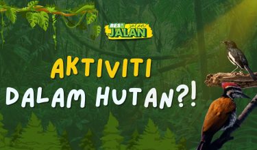 10042025_AKTIVITI-DALAM-HUTAN