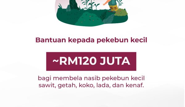 1010-PEKEBUN-KECIL