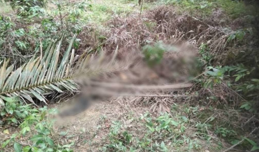 Lokasi mayat wanita warga Indonesia yang ditemui reput