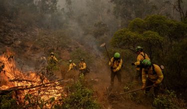 Anggota unit BRICA 401 dan 402 dari Granada menggunakan peralatan tangan untuk memadam kebakaran hutan di Niebla, Huelva, Sepanyol/Foto REUTERS