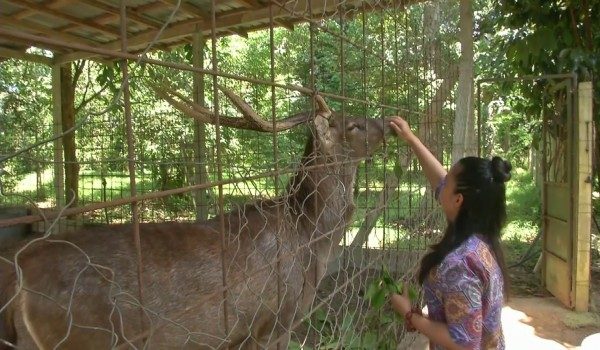12082026 PENTERNAKAN RUSA
