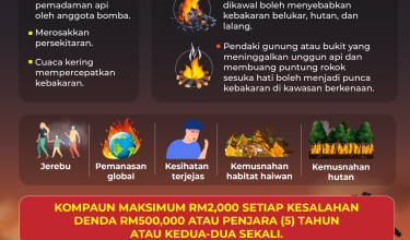1306-pembakaran-terbuka