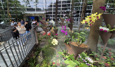 1401 NSL RIMBA TARIKAN BAHARU KLIA 1