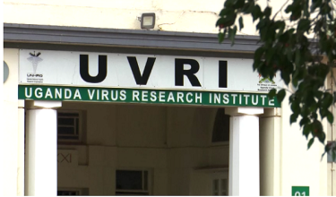 1406-LNR- UGANDA- VAKSIN- EBOLA
