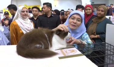 Kebawah Duli Paduka Baginda Tengku Ampuan Pahang, Tunku Azizah Aminah Maimunah Iskandariah berkenan menyempurnakan Majlis Penutup Pameran Kucing Peringkat Kebangsaan 2025 (NCSE 2025) kali kedua yang berlangsung di Kampus Gombak, Universiti Islam Antarabangsa Malaysia (UIAM)/Foto RTM