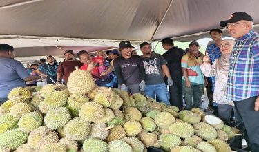 1506 KDH HUB DURIAN