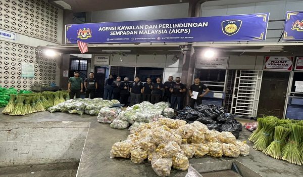 1602 JNY AKPS SITA HASIL PERTANIAN