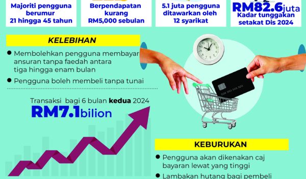 1603-BNPL