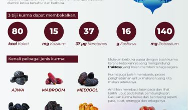 1603-KURMA