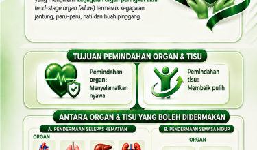 1608 DERMA ORGAN_2