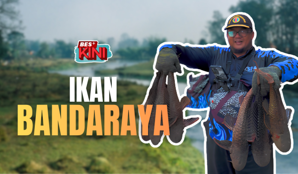 1509-IKAN BANDARAYA