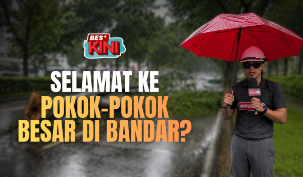 2007_pokok tumbang