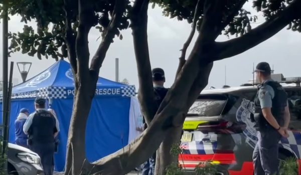 Kanak-kanak terbabit digigit jerung di pantai Sydney Harbour