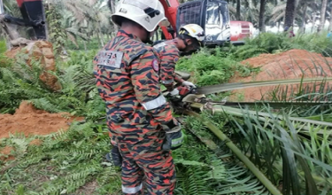 Operasi menggunakan jentera jengkaut serta peralatan khas bagi mengangkat pokok yang menghempap mangsa