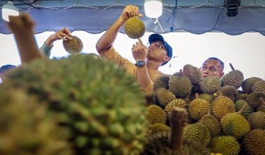 Industri durian antara subsektor agromakanan bernilai tinggi negara / Foto BERNAMA