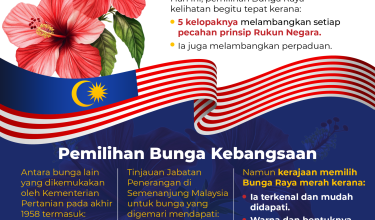 1808 BUNGA RAYA BUNGA KEBANGSAAN